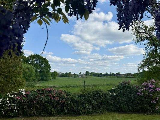 Blick von der Terrasse