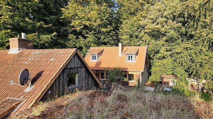 2 Gebäude von oben / Naturdach