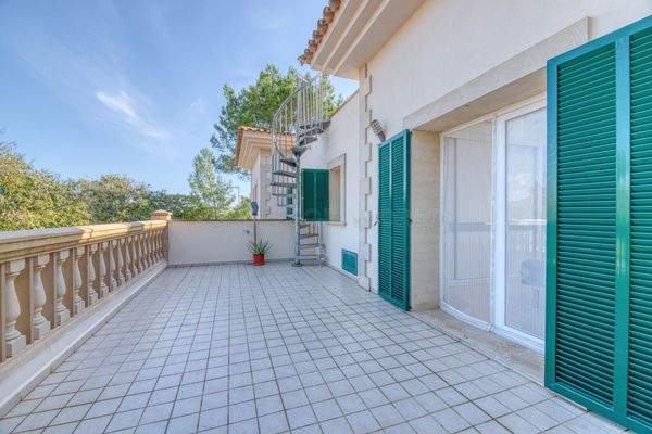 ONE_STOP_EL_TORO_-52