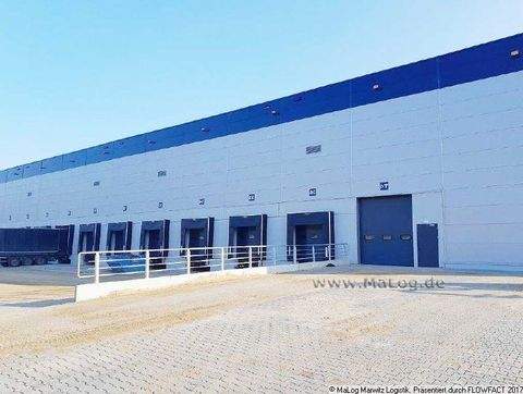 Löcknitz Halle, Löcknitz Hallenfläche