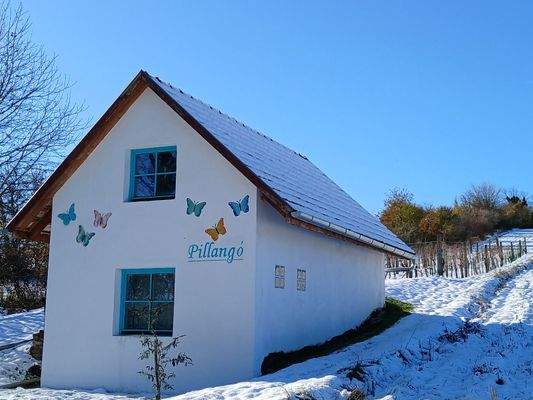 WhatsApp Image 2025-10-22 at 14.12.49.jpeg