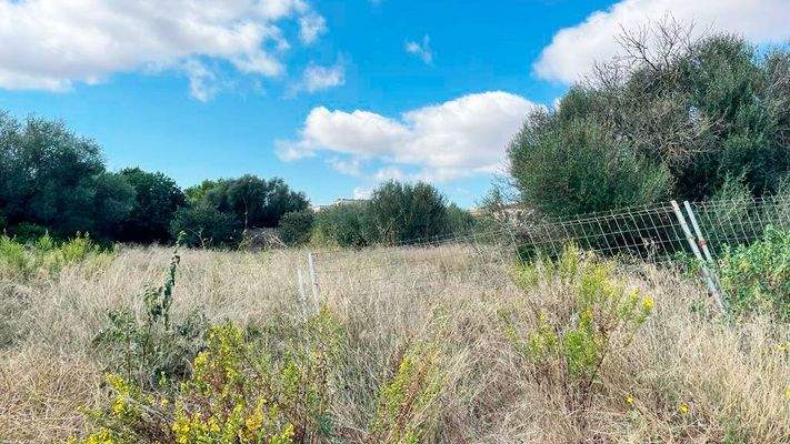 Mehrfamilienhausgrundstück für 22 Wohnungen zum Verkauf in Campos, Mallorca.