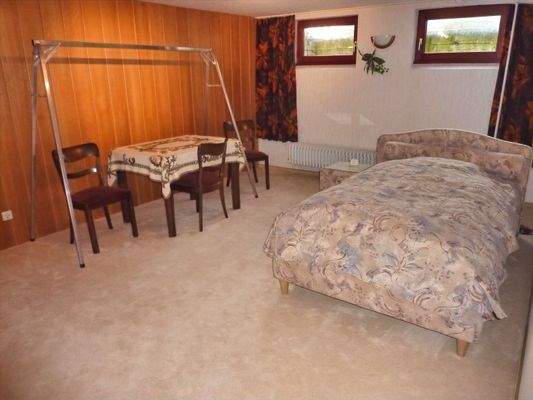 Keller-Hobbyraum mit Fenstern