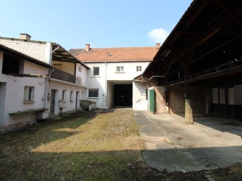 Dudenhofen Bauernhöfe, Landwirtschaft, Dudenhofen Forstwirtschaft