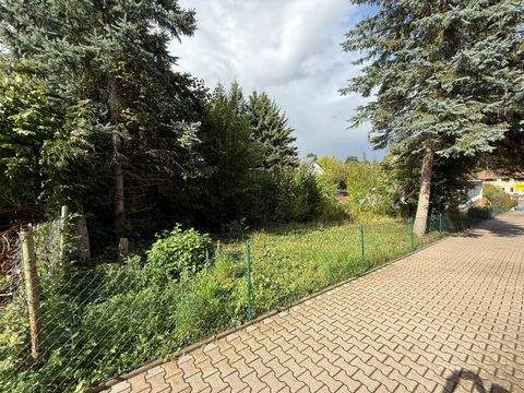 Stadtoldendorf Grundstücke, Stadtoldendorf Grundstück kaufen