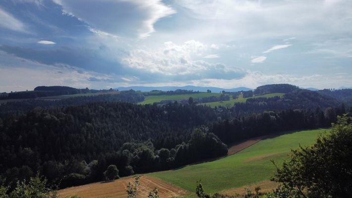 Bild 22