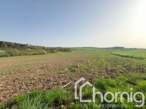 Weil der Stadt / Merklingen Bauernhöfe, Landwirtschaft, Weil der Stadt / Merklingen Forstwirtschaft