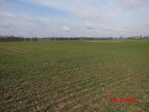 Oranienburg Bauernhöfe, Landwirtschaft, Oranienburg Forstwirtschaft