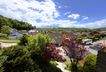 Ausblick Balkon - OG