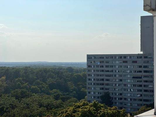 Blick von der Terrasse über den Grunewald