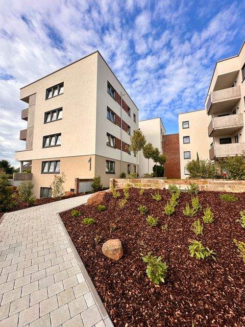 Willstätt Wohnungen, Willstätt Wohnung mieten