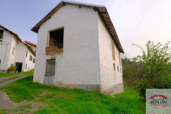 rif 1504(Copy58).jpg