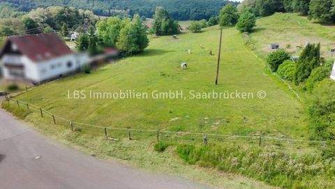 Losheim Grundstücke, Losheim Grundstück kaufen