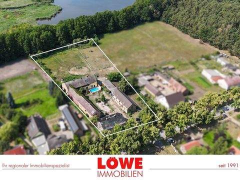 Ludwigsfelde Bauernhöfe, Landwirtschaft, Ludwigsfelde Forstwirtschaft