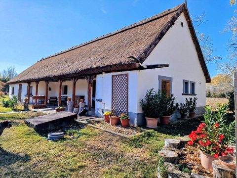 Bócsa Bauernhöfe, Landwirtschaft, Bócsa Forstwirtschaft