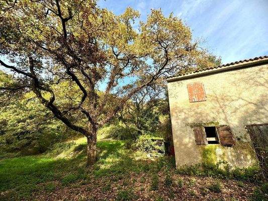 WhatsApp Image 2024-11-05 at 11.24.01 (6).jpeg