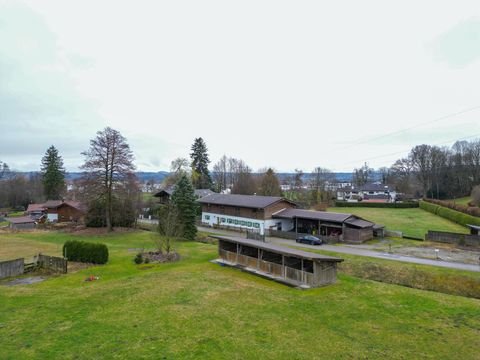 Feldkirchen-Westerham Häuser, Feldkirchen-Westerham Haus kaufen