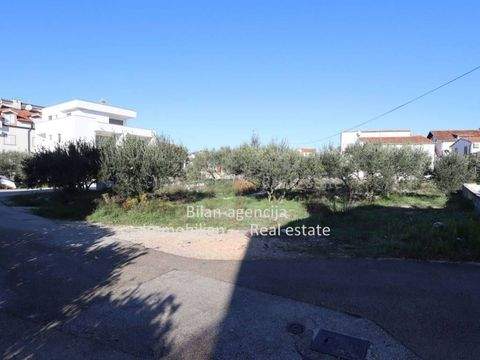 Vodice Bauernhöfe, Landwirtschaft, Vodice Forstwirtschaft