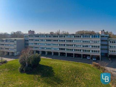 Schönberg (Holstein) Wohnungen, Schönberg (Holstein) Wohnung kaufen