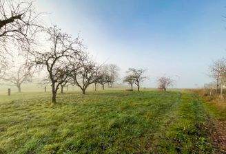 Bauland Süd-/Westlage mit Alpenblick