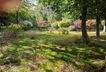 Blick in den Garten