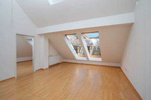 DG / Große Dachfenster 