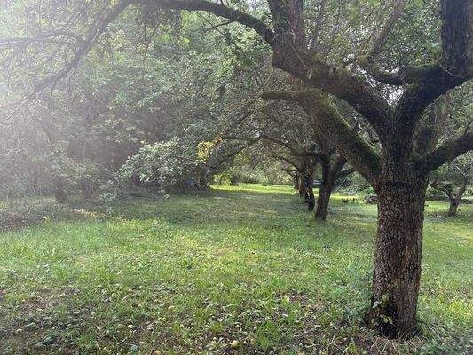 Ansicht Grundstück 3