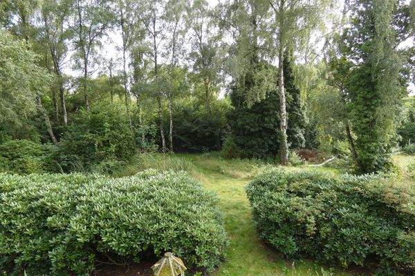 mit verträumten Blick ins Grüne