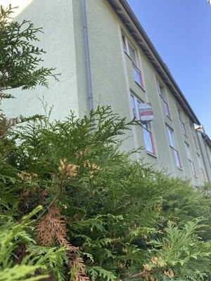 Haus P7