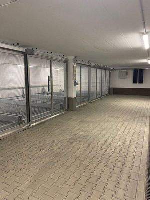 TG Verschiebeparkter.jpg