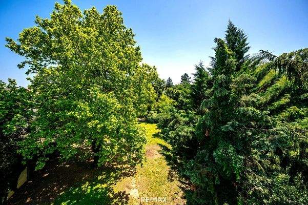 weitläufiger Garten