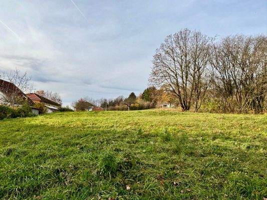 Hier ist viel Platz!