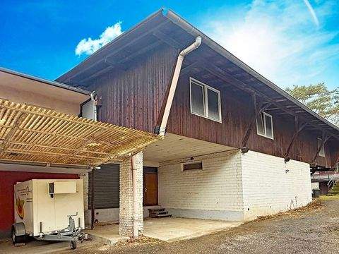 Bad Honnef Halle, Bad Honnef Hallenfläche