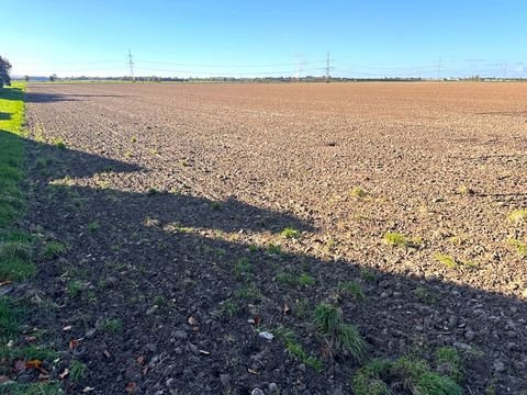 Nörvenich Bauernhöfe, Landwirtschaft, Nörvenich Forstwirtschaft