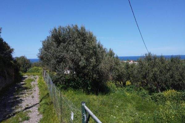 Kreta, Tavronitis: Erstklassiges Grundstück in der Nähe des Strandes zu verkaufen