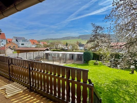 Blick in den Garten