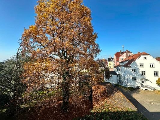 Blick vom Küchenbalkon.jpg