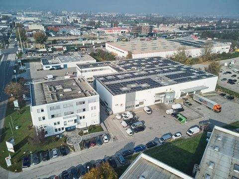 Wiener Neudorf Halle, Wiener Neudorf Hallenfläche