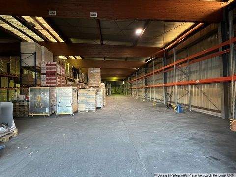 Gera Halle, Gera Hallenfläche