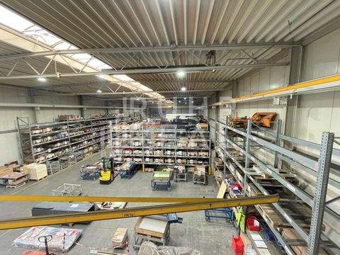 Neuss Halle, Neuss Hallenfläche