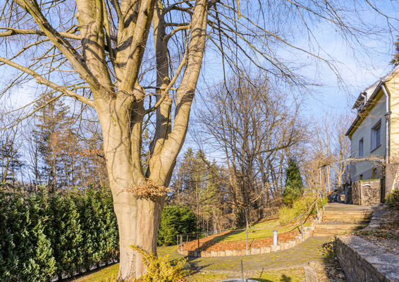 Weg von Straße zum Haus