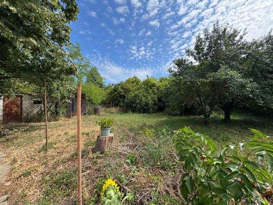 WhatsApp-kép, 2025-07-27, 06.35.08_0ef528ee.jpg