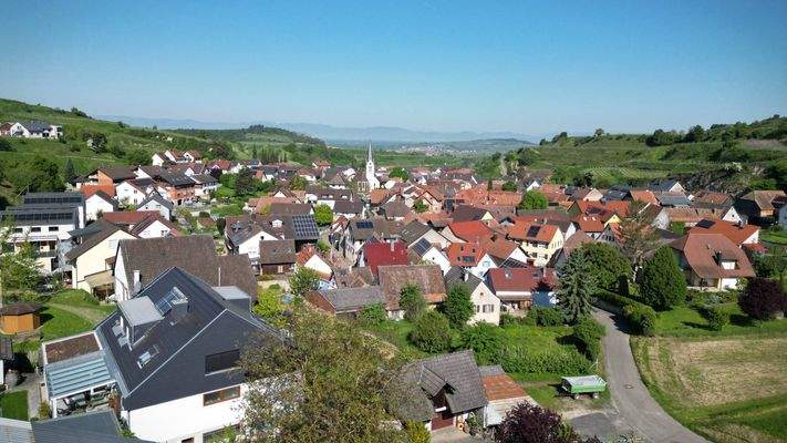 Blick über den Vogtsburger Ortsteil Bickensohl