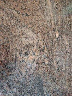 IMG_20251028_152504 - Kopie.jpg