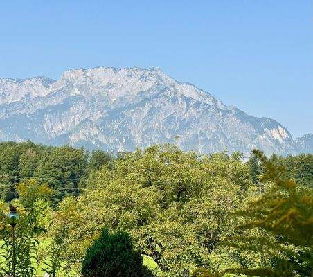 WhatsApp Image 2025-08-19 at 07.05.38 (4)