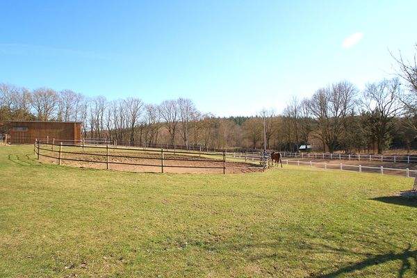 Der offene Longierzirkel und rechts der Reitplatz