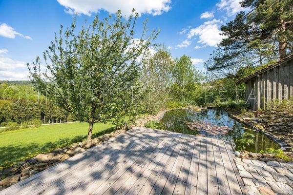 Teich und Terrasse / Außenbereich