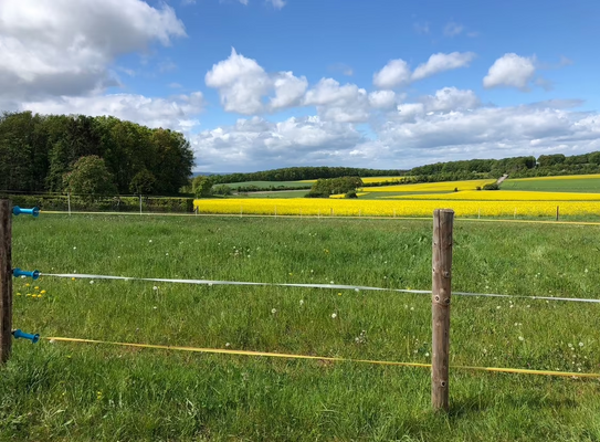 6da9c863-3933-4cd2-9598-83db354da947