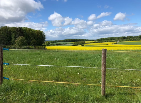 Mechernich Grundstücke, Mechernich Grundstück kaufen