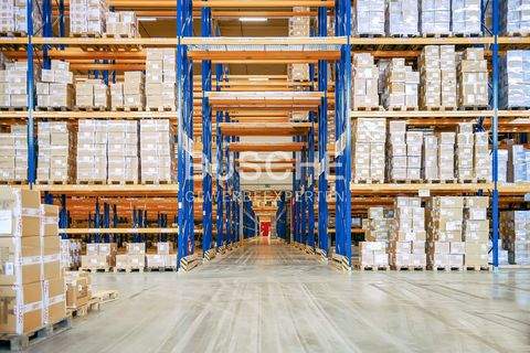 Münster Halle, Münster Hallenfläche